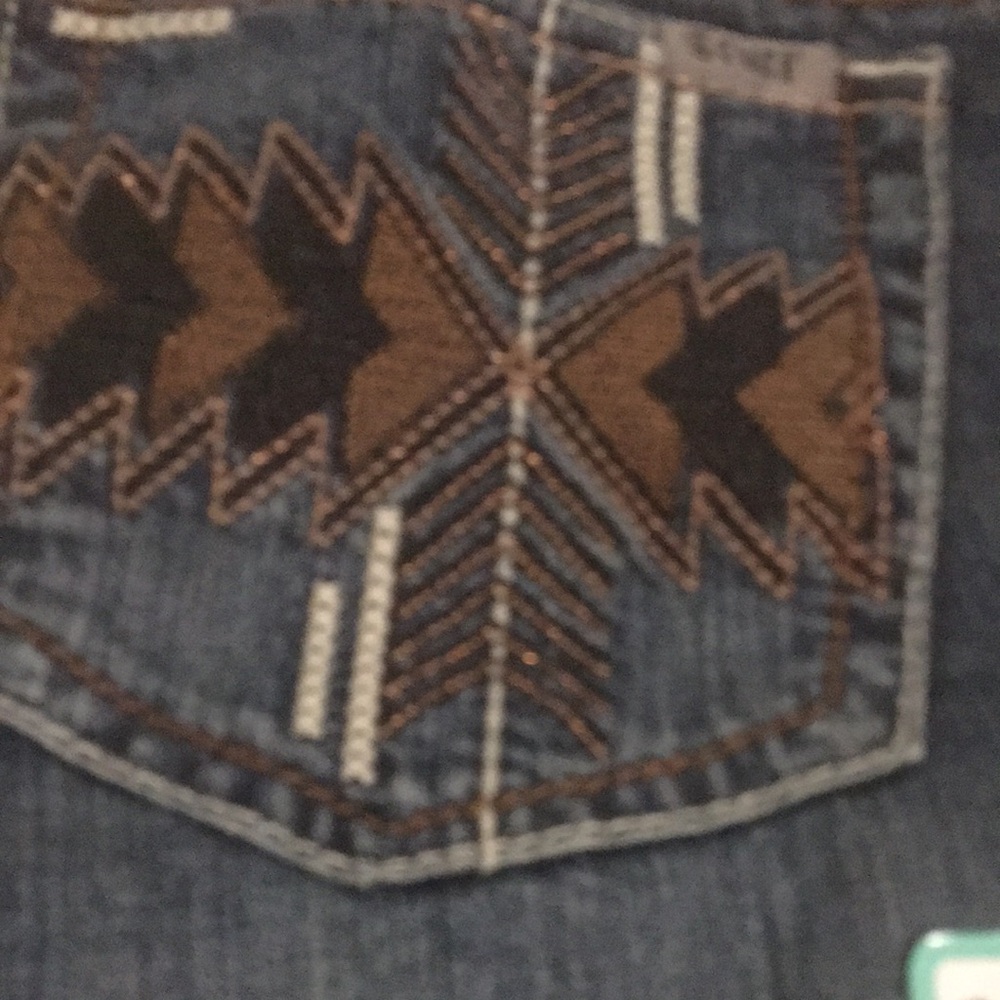 Denim Jeans with Brown Embroidery